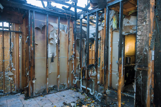 Professional Smoke Odor Removal technician working in Union Bridge, MD